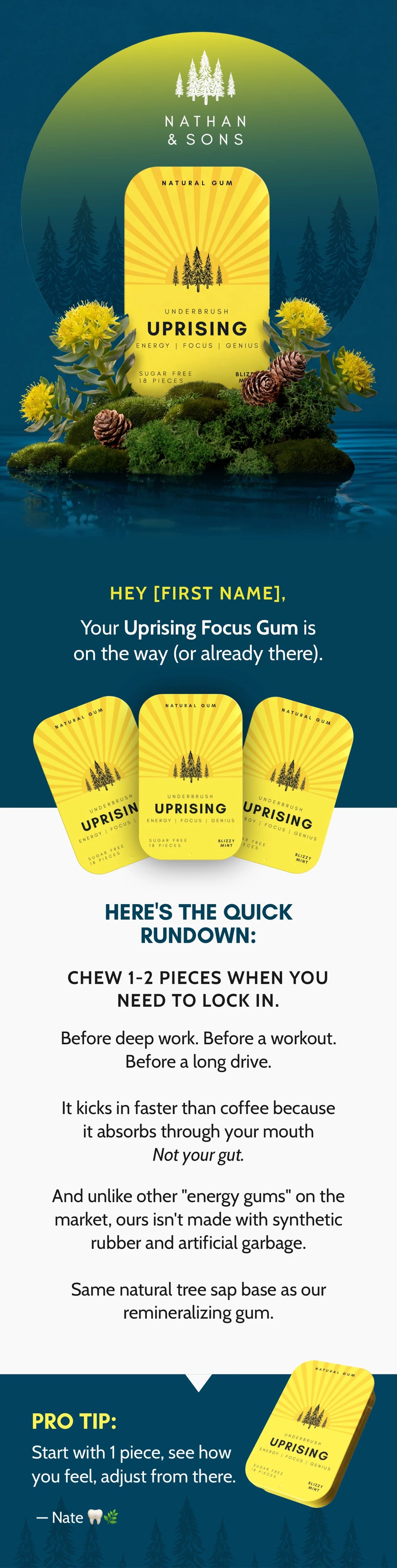 Underbrush lifecycle email 3